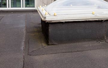 disadvantages of Riby flat roofs