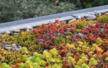 the cost of Riby green roof installation