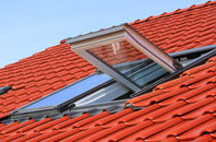 Riby roof window