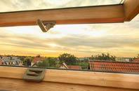 rated Riby roof window companies